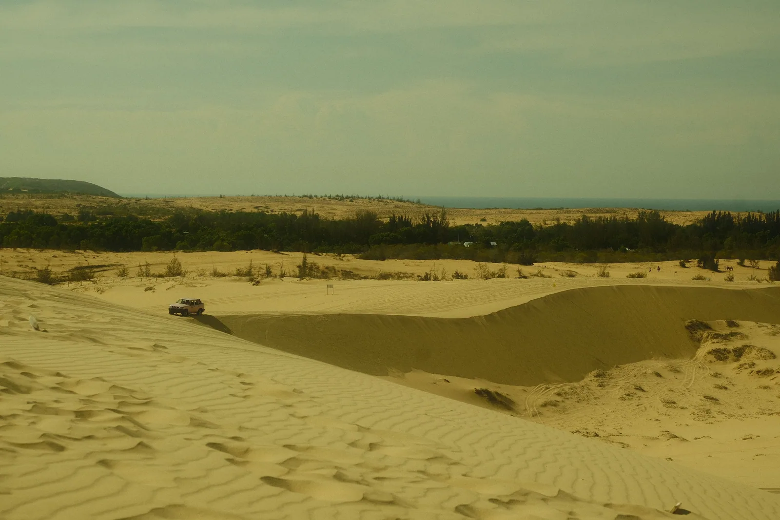 Mũi Né cho dân nomad: gió, đồi cát, và một cộng đồng hẹn hò bạn chưa để ý